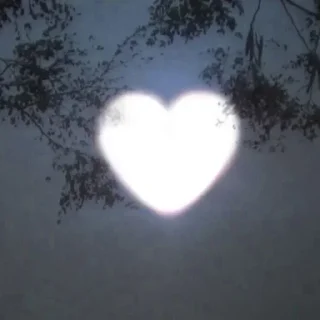 💖