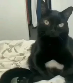 😠