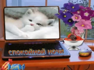 😴