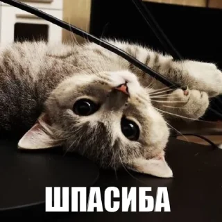 😌