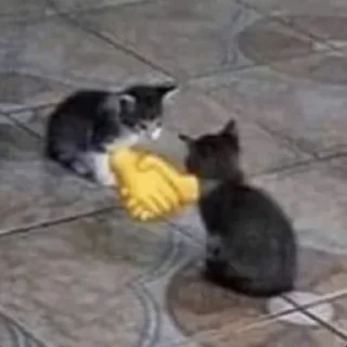 🤝