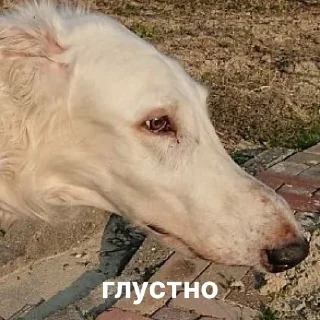 ☹️
