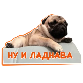 👍
