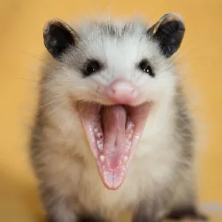 😀