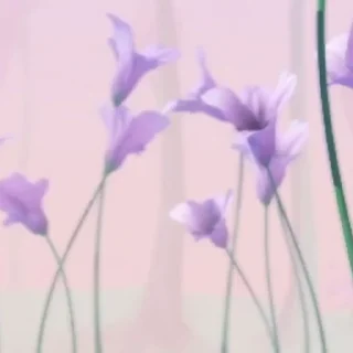 👋
