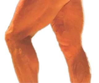 💪