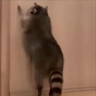 🙃