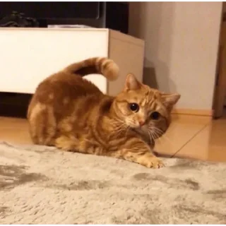 😝