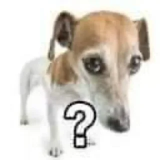 ❓