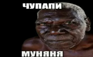 🐵