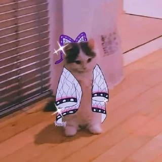 🌟