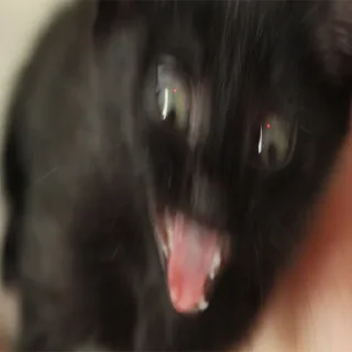 😡