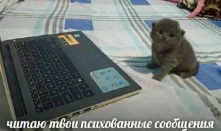 😭