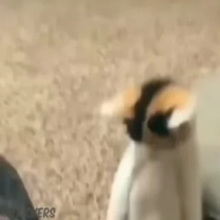 😞