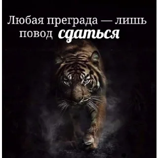 💪