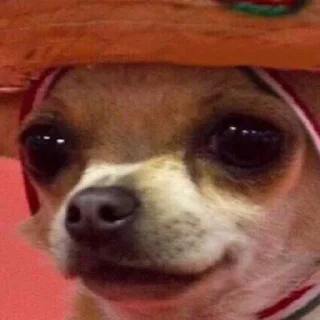 👒