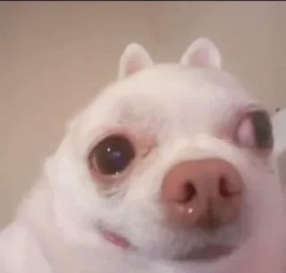 😜