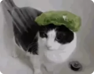 🚿