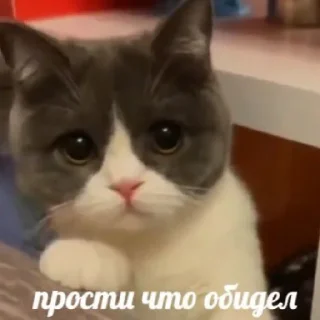 😔