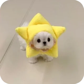 👍