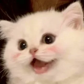 😲