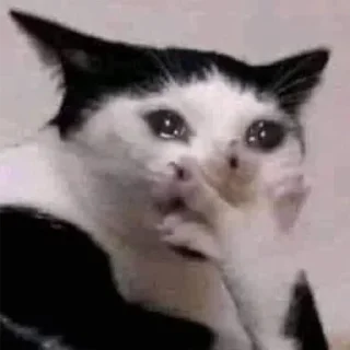 🥺