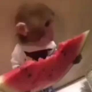 🍉