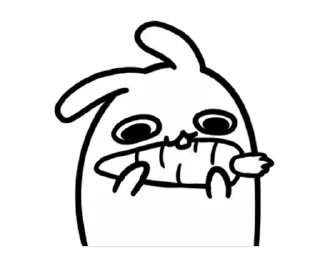 🐰