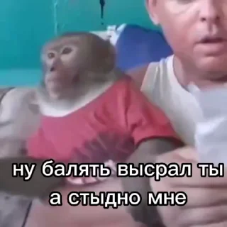 🌟