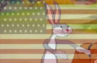 🇺🇸