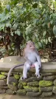 👨‍🦳