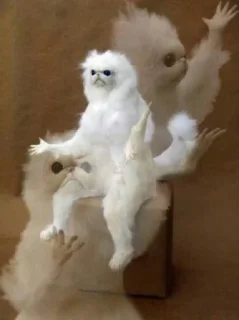 🤨