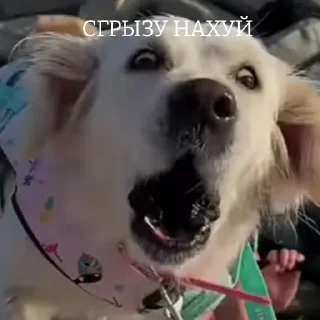 😡