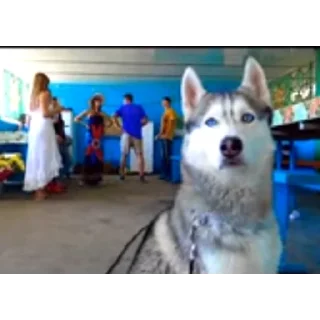 👍