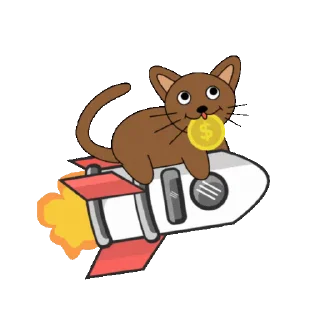 🚀