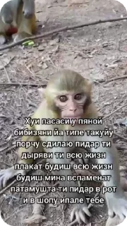 🌟