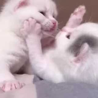 😘
