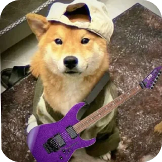 🐶
