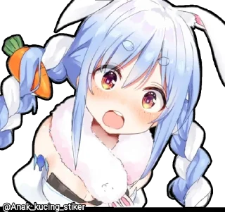🐇