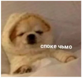😴