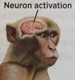 🐵