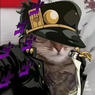 🐈