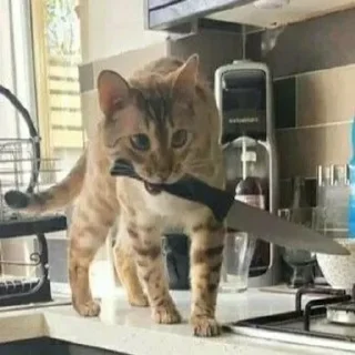 ☠
