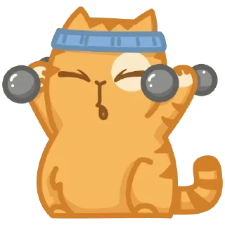 💪
