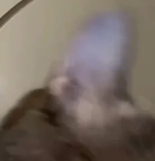 😈