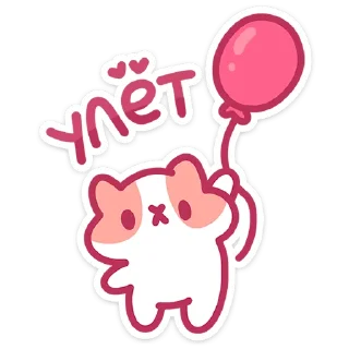 🐱