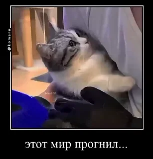 😔