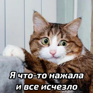 🤩