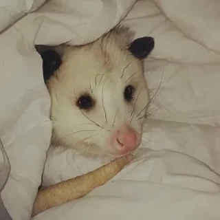 😐