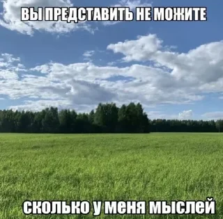🧂